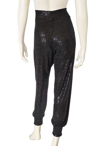 Out Of stock/Tinsel Trousers