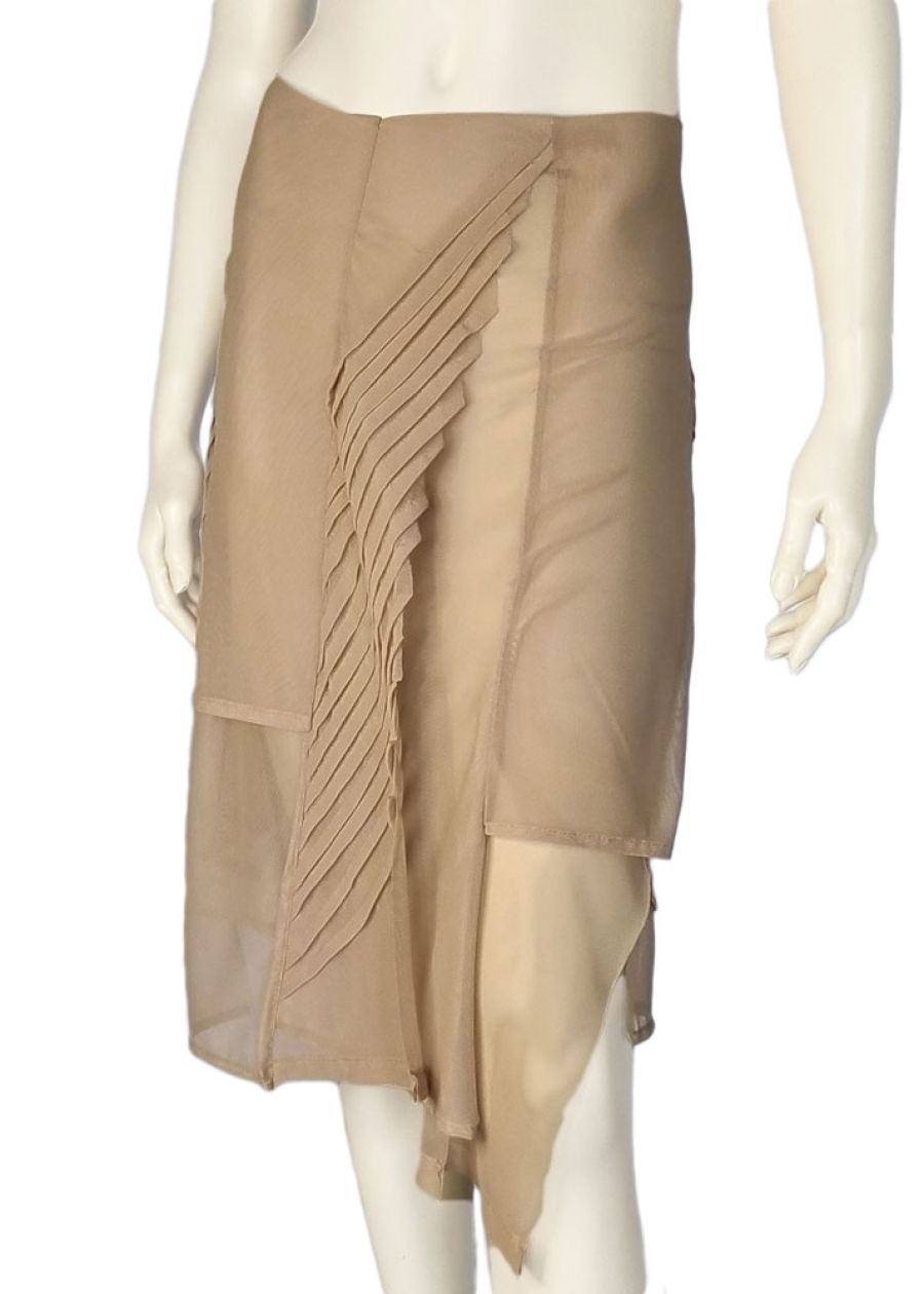 Transparent Skirt — front view